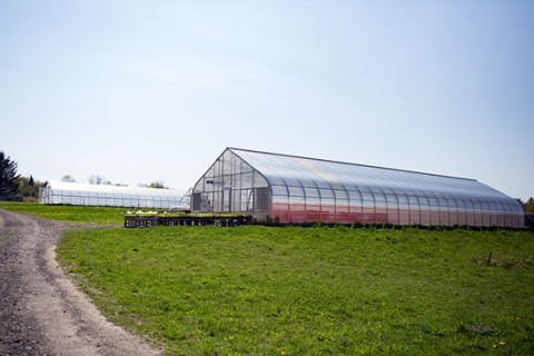 TC3 Farm 