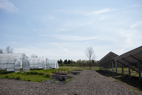 TC3 Farm